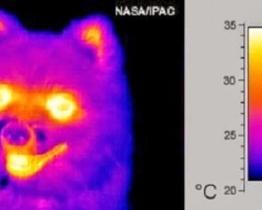 Un sensor de infrarrojos podría dar lugar a lentes de contacto de visión nocturna