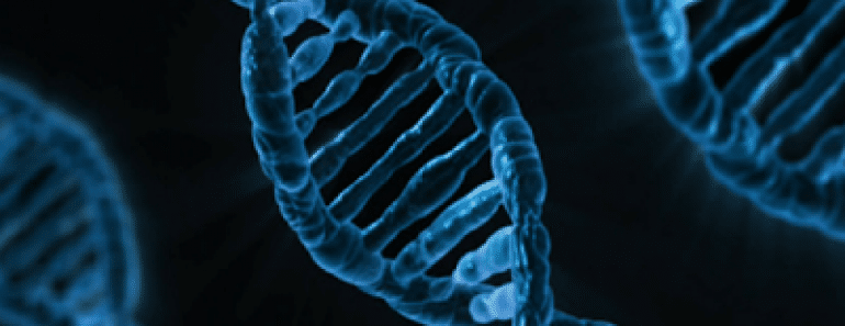 Google desea almacenar tu genoma en la nube (Google Genomics)