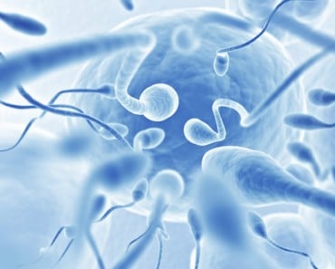 Investigan con nanopartículas los casos misteriosos de infertilidad