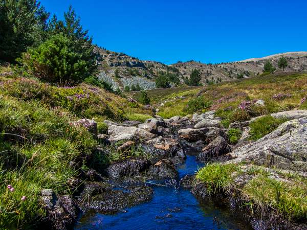 parques naturales Soria