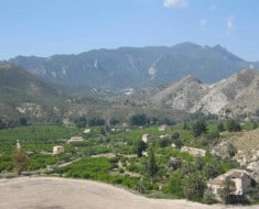 Valle de Ricote