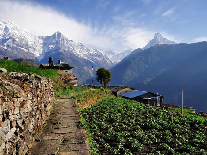 Vista a las montañas desde los annapurnas Ghnadruk Village Nepal