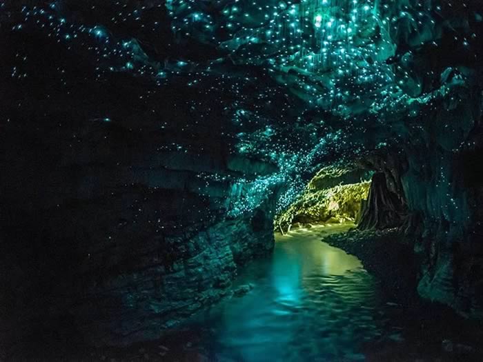 Cuevas Waitomo