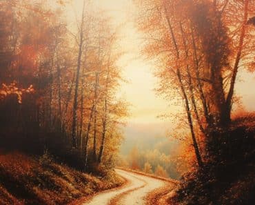 Ruta otoñal en un bosque español con hojas doradas cubriendo el camino, ideal para disfrutar de la naturaleza en otoño