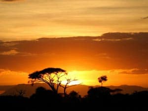 Consejos para viajar a África