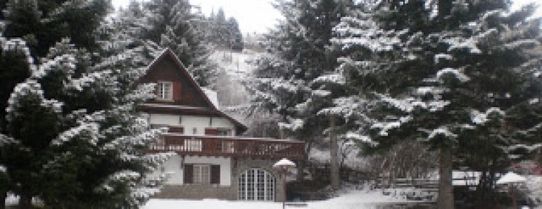 Vacaciones en Invierno