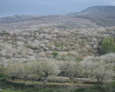 Excursión al Valle del Jerte