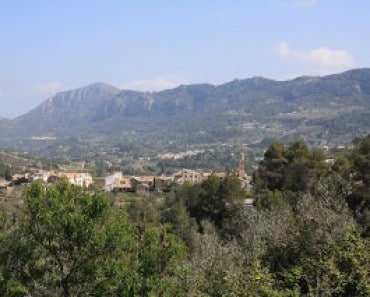Vall de Gallinera. La flor del cerezo