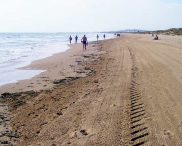 Playas de Elche: normativa para la desescalada y medidas de seguridad