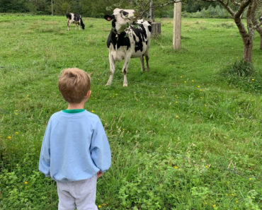 Viaje con niños a Asturias: 10 planes en familia fuera de lo más típico y masificado